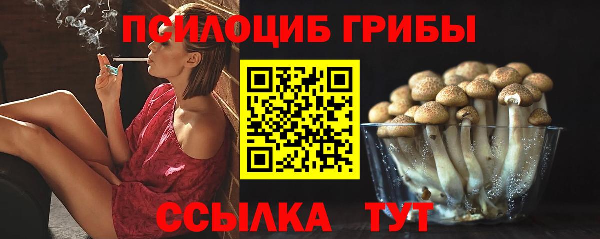 Галлюциногенные грибы Psilocybine cubensis  Вход с VPN  Псилоцибиновые грибы ЛСД  Чусовой 